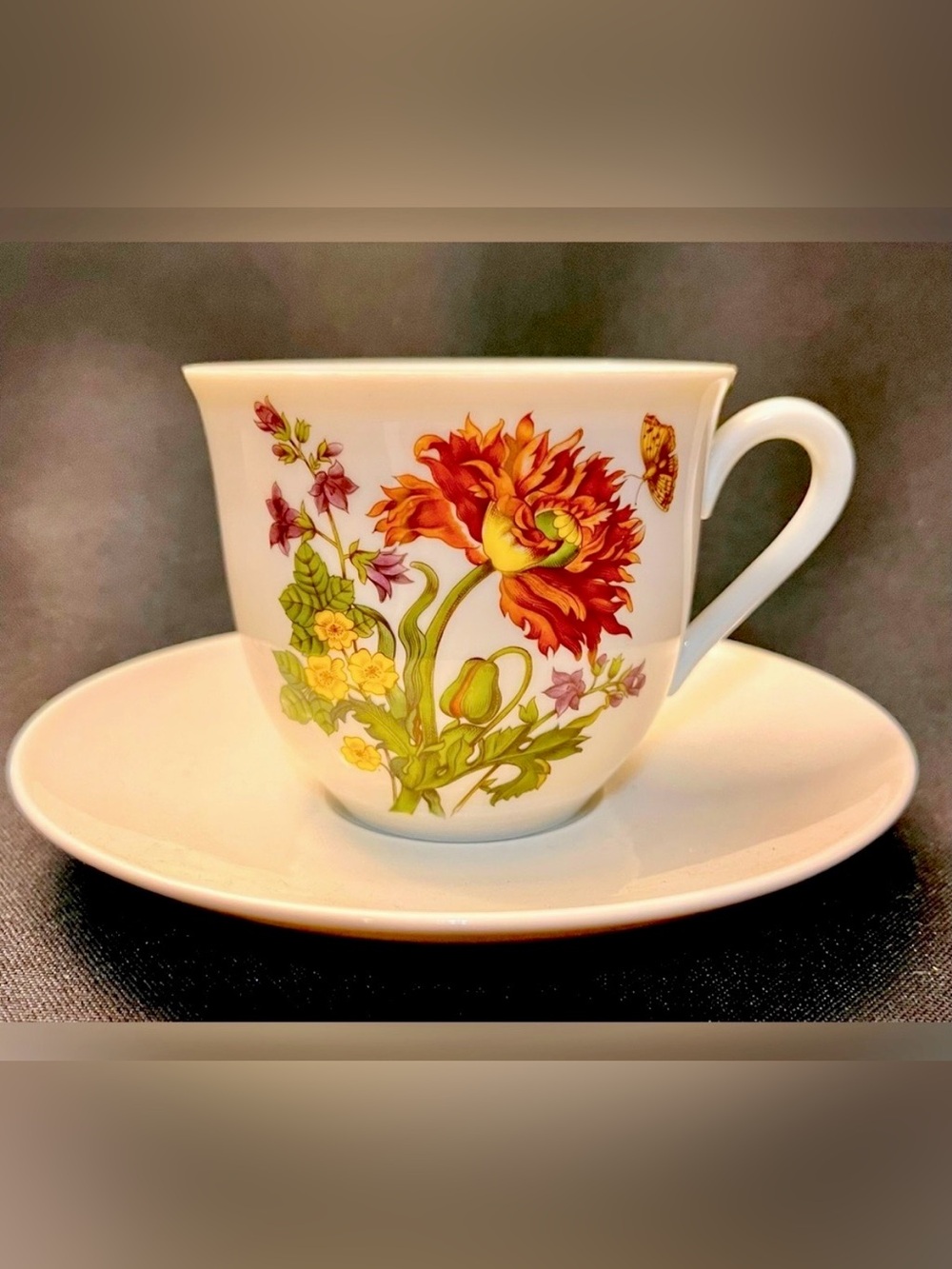 House of Goebel Bavaria West Germany Vintage Floral Teacup Saucer Set Poppy Leaf